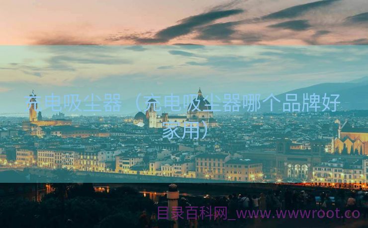 充电吸尘器（充电吸尘器哪个品牌好 家用）
