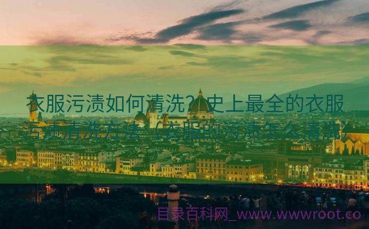 衣服污渍如何清洗？史上最全的衣服污渍清洗方法（衣服的污渍怎么清洗）