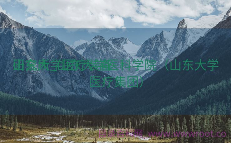 山东大学医疗装备
研究所_山东大学医科学院（山东大学医疗集团）