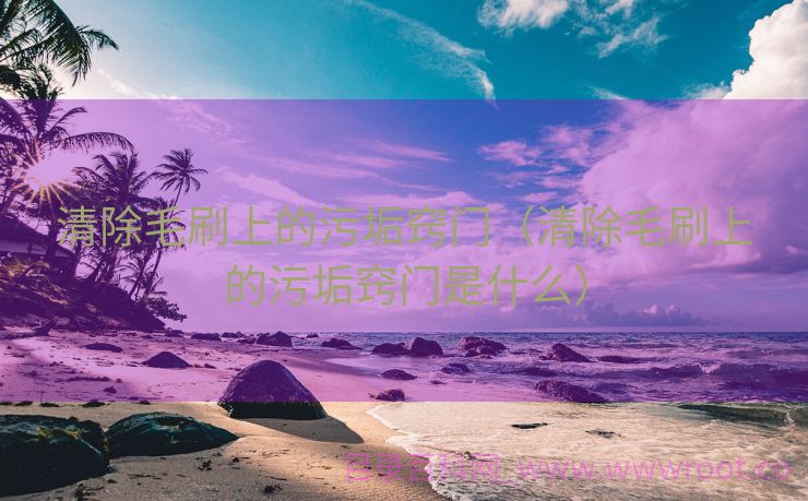 清除毛刷上的污垢窍门（清除毛刷上的污垢窍门是什么）