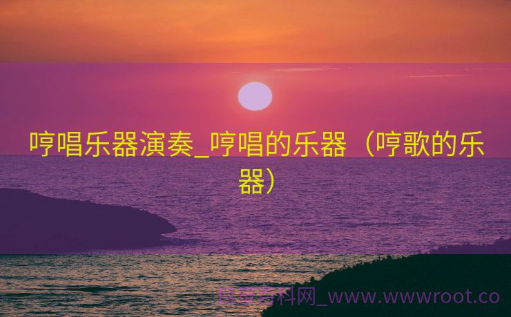 哼唱乐器演奏_哼唱的乐器（哼歌的乐器）