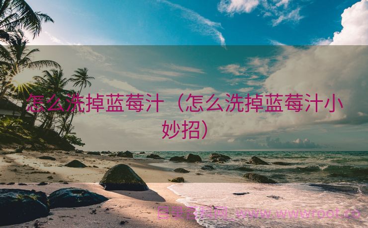 怎么洗掉蓝莓汁（怎么洗掉蓝莓汁小妙招）