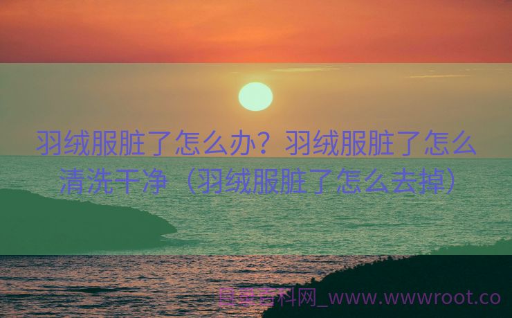 羽绒服脏了怎么办？羽绒服脏了怎么清洗干净（羽绒服脏了怎么去掉）