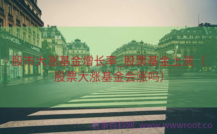 股市大涨基金增长率_股票基金上涨（股票大涨基金会涨吗）