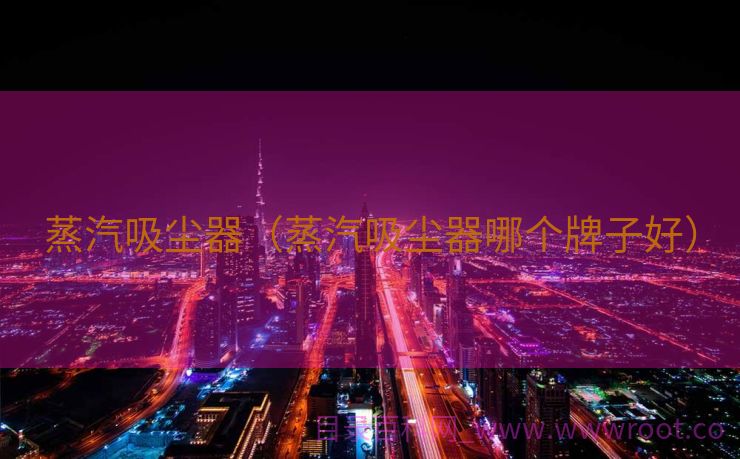 蒸汽吸尘器（蒸汽吸尘器哪个牌子好）