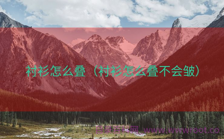 衬衫怎么叠（衬衫怎么叠不会皱）