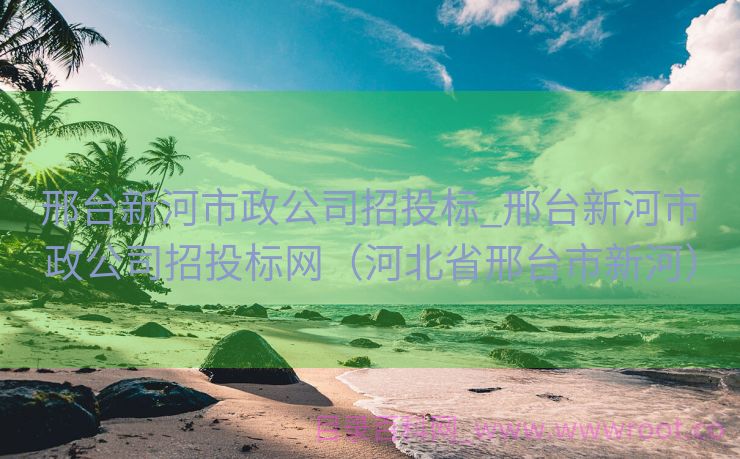 邢台新河市政公司招投标_邢台新河市政公司招投标网（河北省邢台市新河）