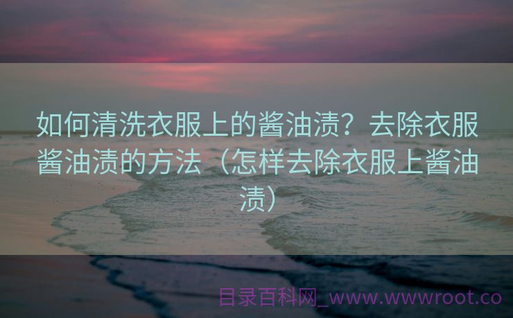 如何清洗衣服上的酱油渍？去除衣服酱油渍的方法（怎样去除衣服上酱油渍）