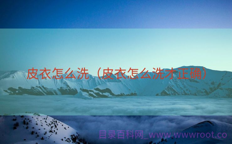 皮衣怎么洗（皮衣怎么洗才正确）