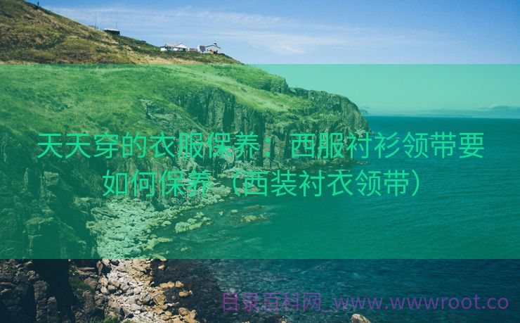 天天穿的衣服保养：西服衬衫领带要如何保养（西装衬衣领带）