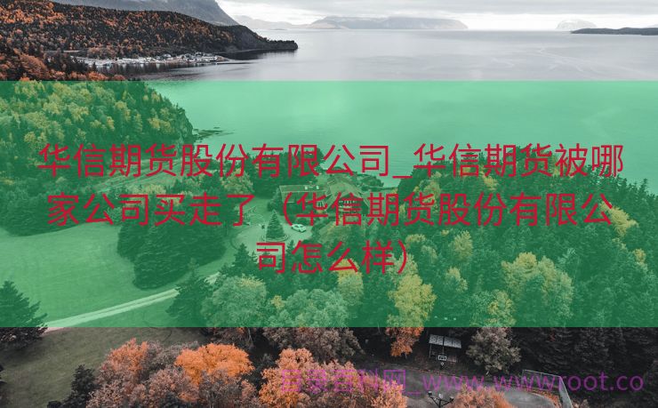 华信期货股份有限公司_华信期货被哪家公司买走了（华信期货股份有限公司怎么样）