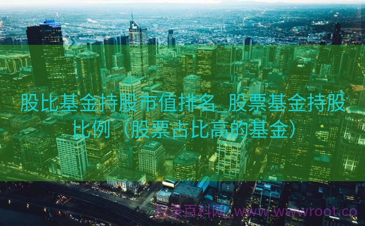 股比基金持股市值排名_股票基金持股比例（股票占比高的基金）