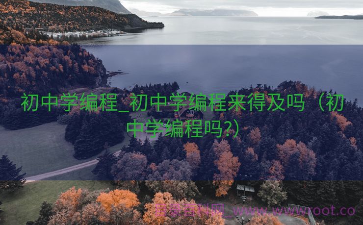 初中学编程_初中学编程来得及吗（初中学编程吗?）