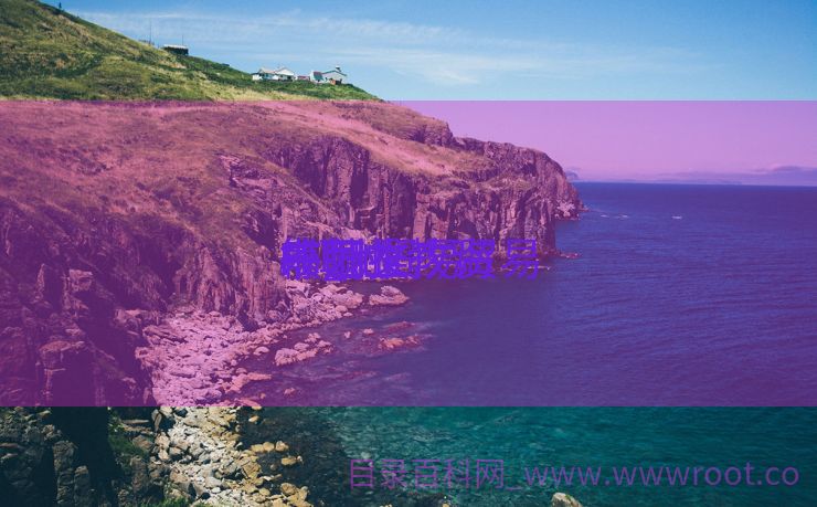 IT职业教诲
校园推广贸易
筹划
书_it贸易
筹划
书范文