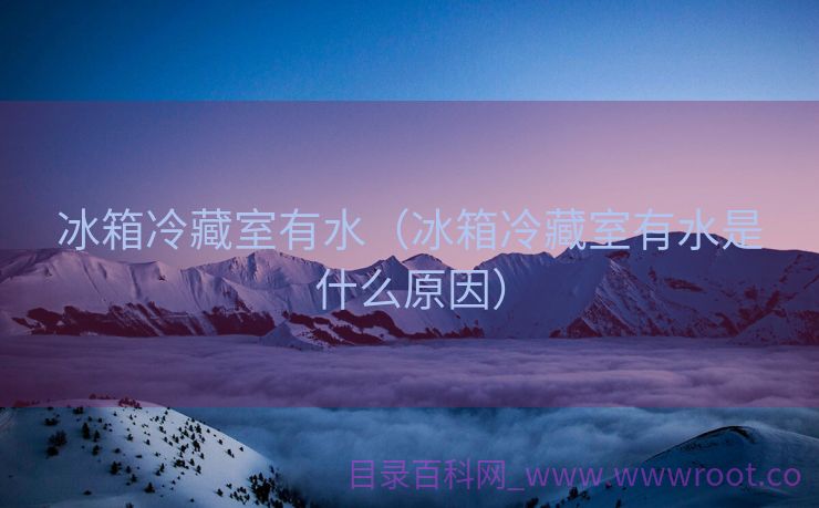 冰箱冷藏室有水（冰箱冷藏室有水是什么原因）