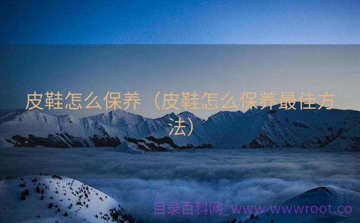 皮鞋怎么保养（皮鞋怎么保养最佳方法）