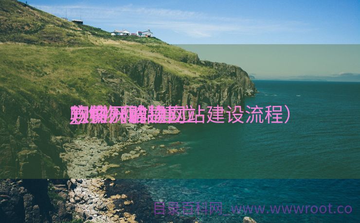 购物网站建立
软件开辟
_购物网站建立
方案（购物网站建设流程）