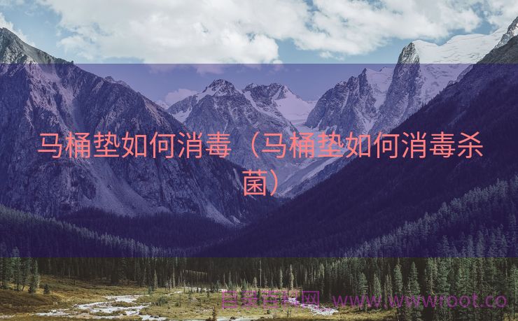 马桶垫如何消毒（马桶垫如何消毒杀菌）
