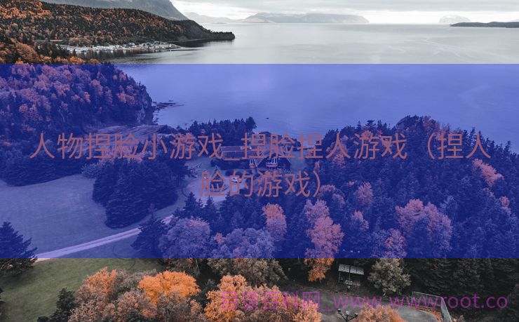人物捏脸小游戏_捏脸捏人游戏（捏人脸的游戏）