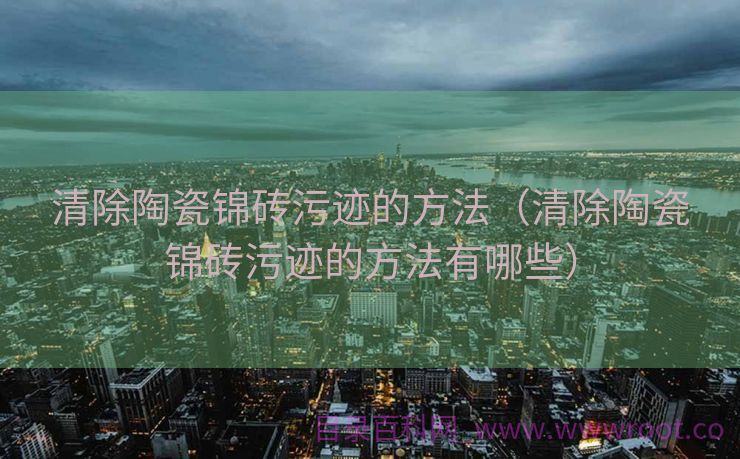 清除陶瓷锦砖污迹的方法（清除陶瓷锦砖污迹的方法有哪些）