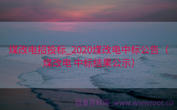 煤改电招投标_2020煤改电中标公告（煤改电 中标结果公示）