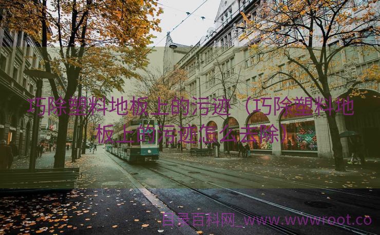 巧除塑料地板上的污迹（巧除塑料地板上的污迹怎么去除）