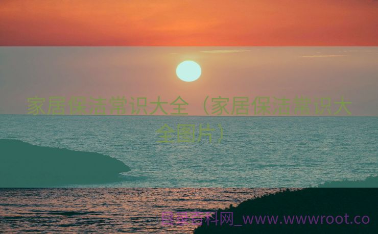 家居保洁常识大全（家居保洁常识大全图片）