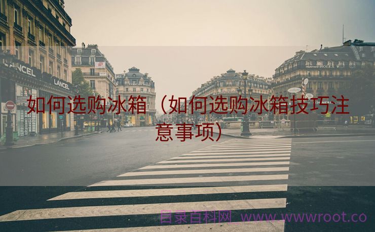 如何选购冰箱（如何选购冰箱技巧注意事项）