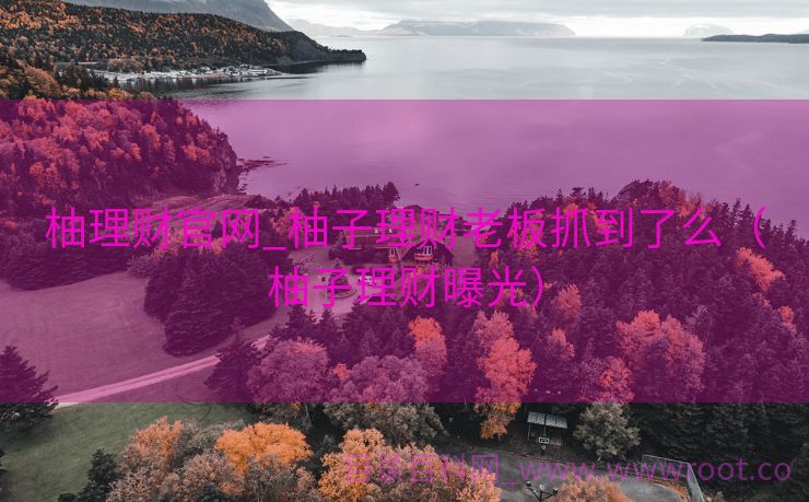 柚理财官网_柚子理财老板抓到了么（柚子理财曝光）