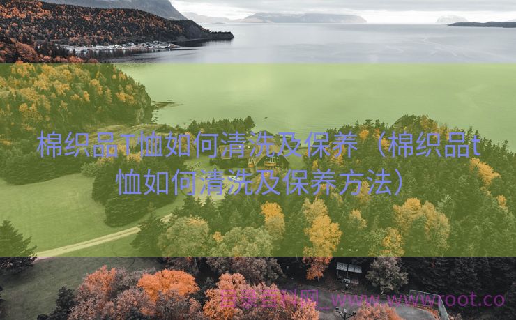 棉织品T恤如何清洗及保养（棉织品t恤如何清洗及保养方法）