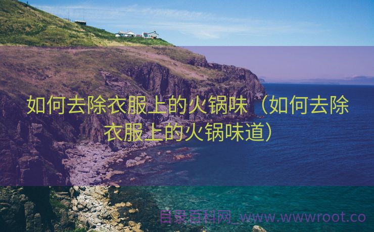 如何去除衣服上的火锅味（如何去除衣服上的火锅味道）