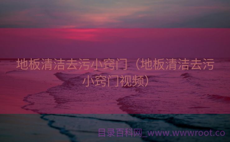 地板清洁去污小窍门（地板清洁去污小窍门视频）