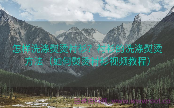 怎样洗涤熨烫衬衫？衬衫的洗涤熨烫方法（如何熨烫衬衫视频教程）
