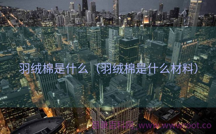 羽绒棉是什么（羽绒棉是什么材料）