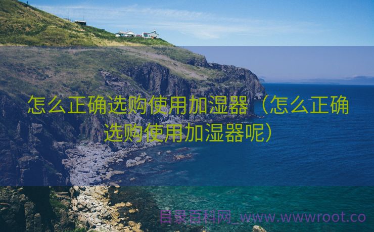 怎么正确选购使用加湿器（怎么正确选购使用加湿器呢）