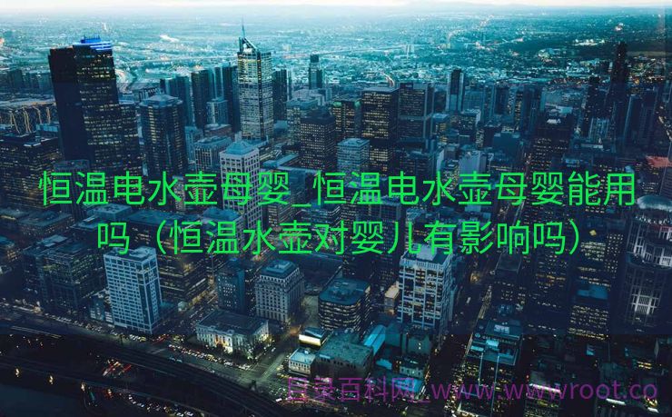 恒温电水壶母婴_恒温电水壶母婴能用吗（恒温水壶对婴儿有影响吗）