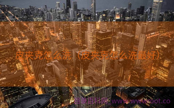 皮夹克怎么洗（皮夹克怎么洗最好）