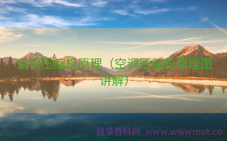 空调压缩机原理（空调压缩机原理图讲解）