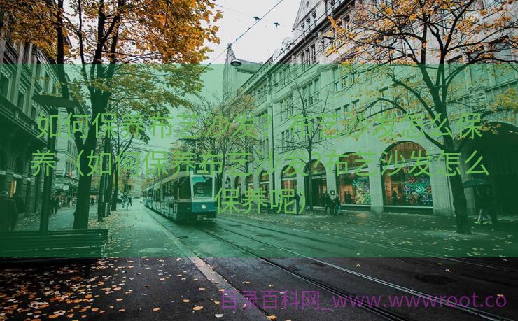 如何保养布艺沙发？布艺沙发怎么保养（如何保养布艺沙发?布艺沙发怎么保养呢）