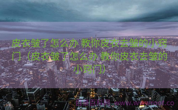 皮衣皱了怎么办 教你皮衣去皱的小窍门（皮衣皱了怎么办 教你皮衣去皱的小窍门）