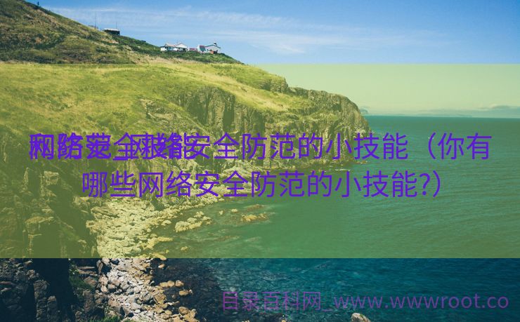 网络安全技能
和防范_网络安全防范的小技能（你有哪些网络安全防范的小技能?）