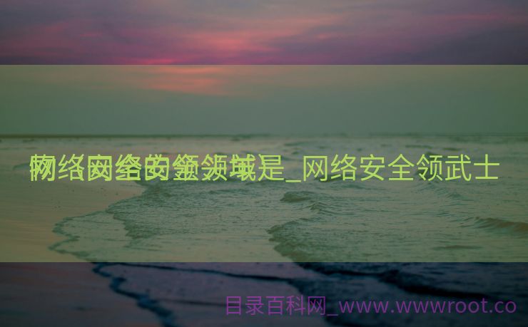 网络安全的领头羊是_网络安全领武士
物（网络安全领域）