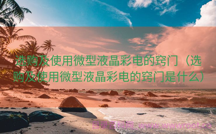 选购及使用微型液晶彩电的窍门（选购及使用微型液晶彩电的窍门是什么）