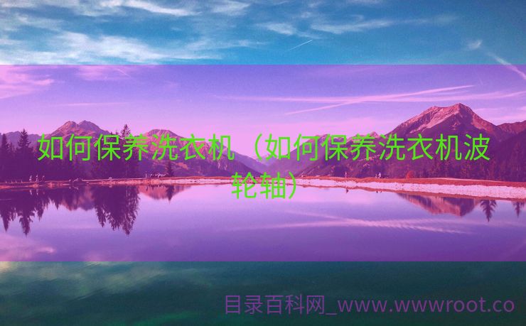 如何保养洗衣机（如何保养洗衣机波轮轴）