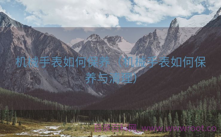 机械手表如何保养（机械手表如何保养与清理）