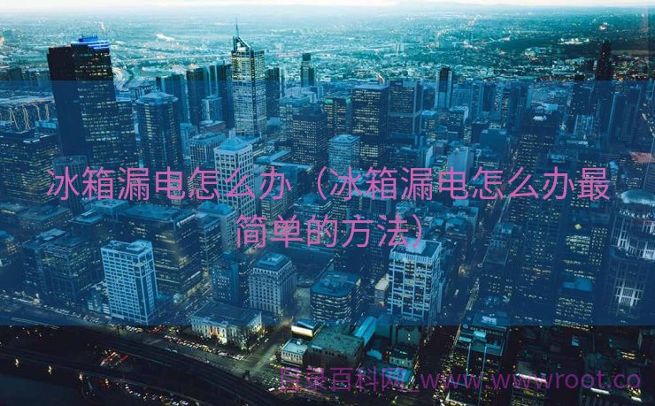 冰箱漏电怎么办（冰箱漏电怎么办最简单的方法）