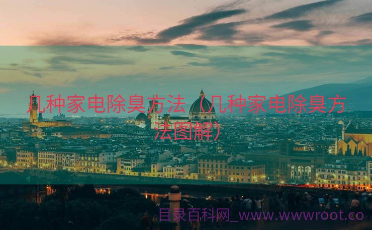 几种家电除臭方法（几种家电除臭方法图解）