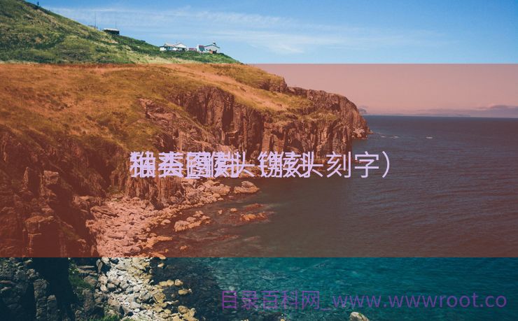 猴头镌刻
钻石_猴头镌刻
种类图片（猴头刻字）
