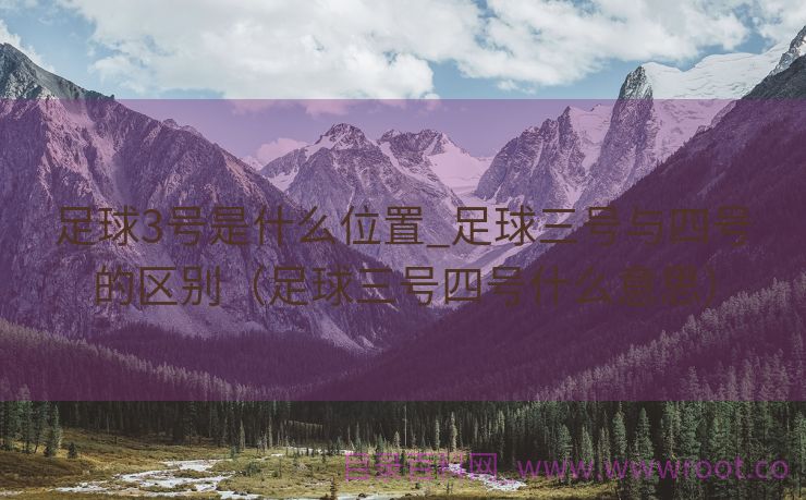 足球3号是什么位置_足球三号与四号的区别（足球三号四号什么意思）