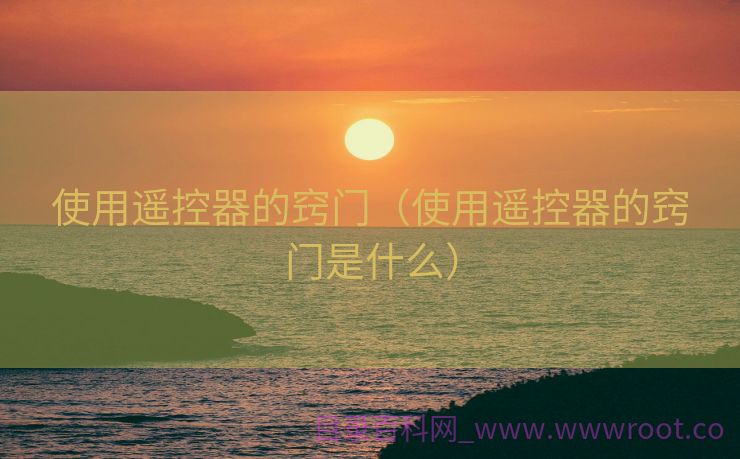 使用遥控器的窍门（使用遥控器的窍门是什么）